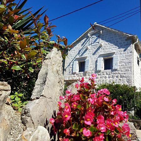 Old Stone Villa Lalosevic Kotor Exteriör bild